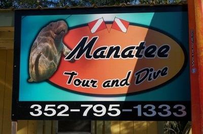 swimming with manatees groupon