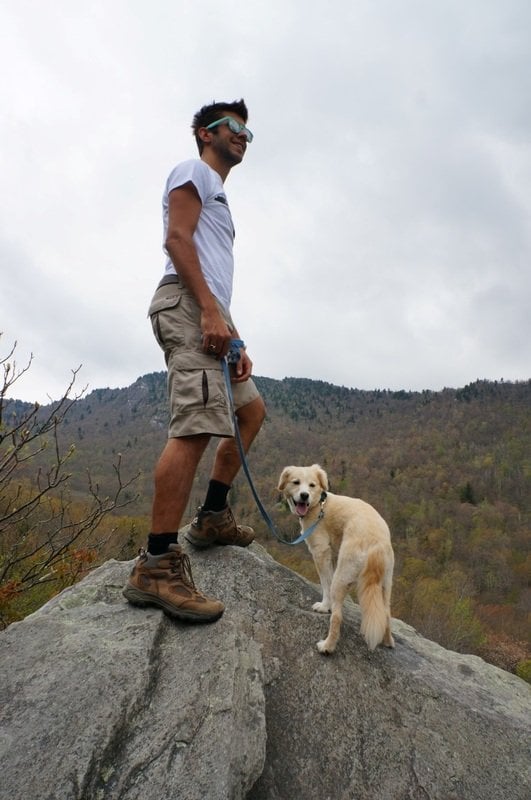 hiking with dogs on grandfather mountain near boone