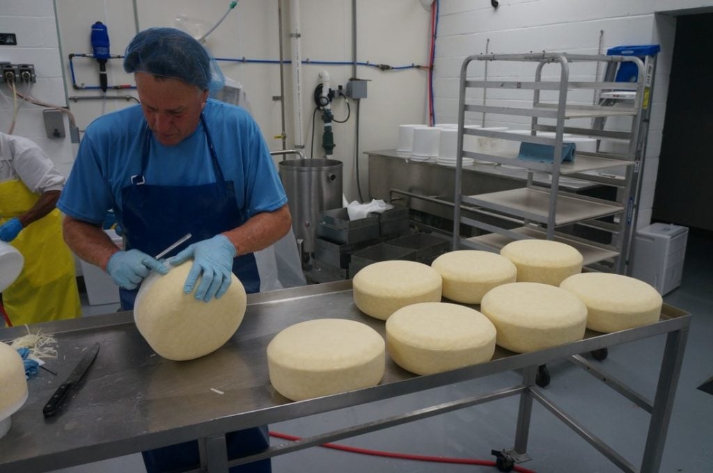 preparing cheese wheels 