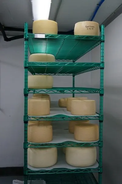ageing cheese 