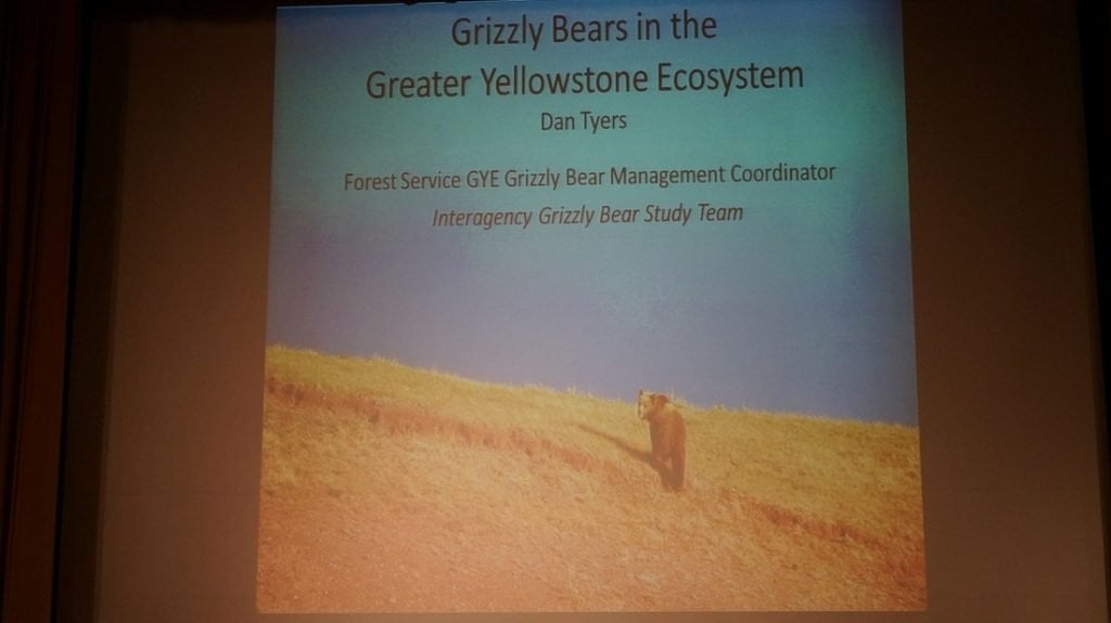 Grizzly bears in the greater yellowstone ecosystem
