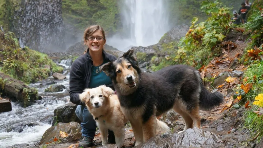 latuourell falls, columbia river gorge, mortons on the move dogs