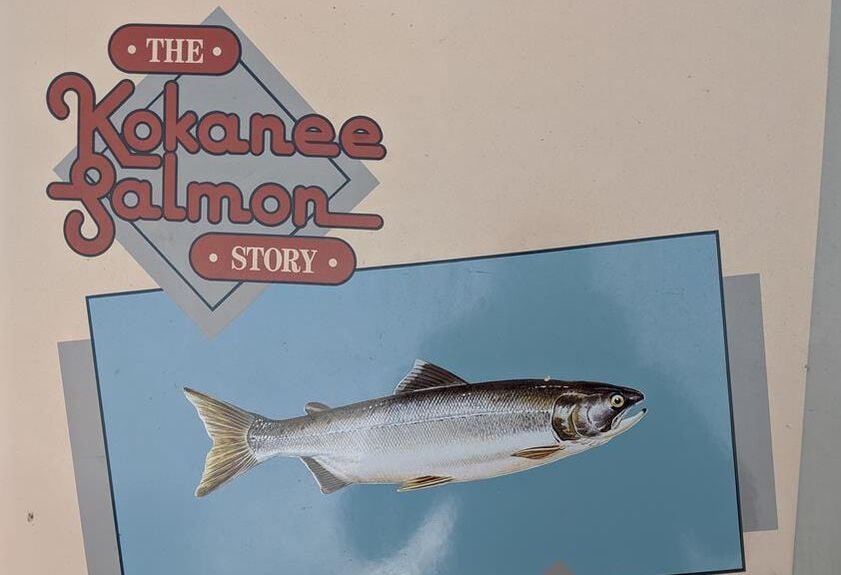 kokanee salmon story info board