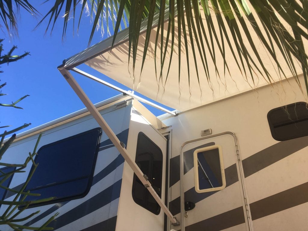 looking up at RV awning with sun coming through palm trees