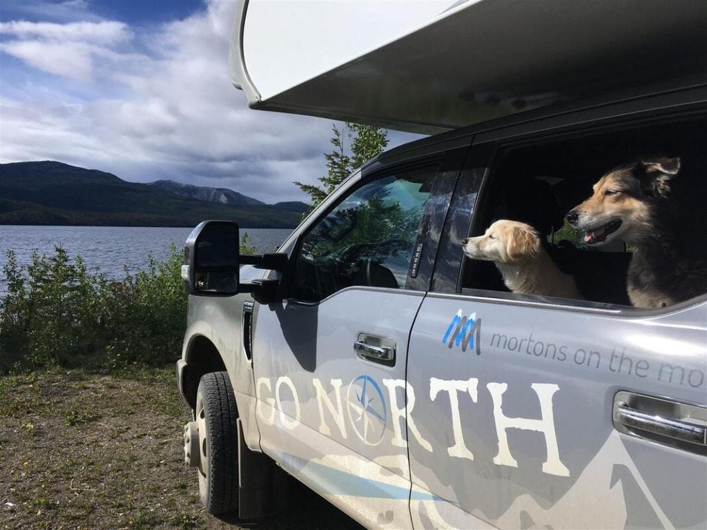 dogs in go north truck camper