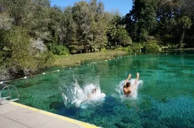 swimming in rainbow springs state park