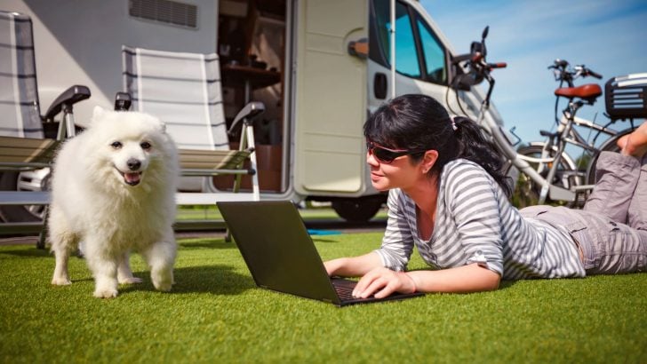 Top 10 RV Parks to Go Camping With Your Dog