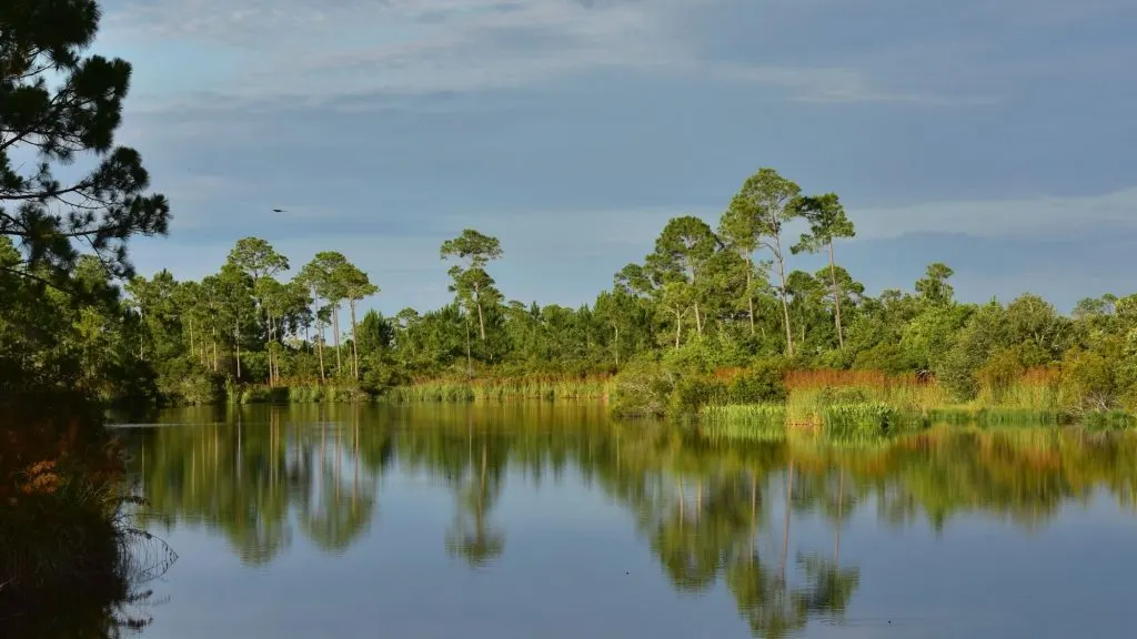 Big Lagoon State Park Florida