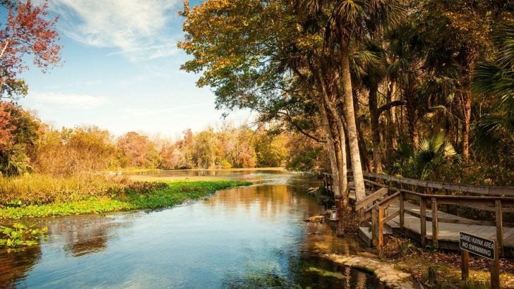 7 Best Natural Springs in Florida You Need to Visit