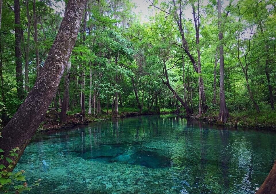 Blue Springs Florida