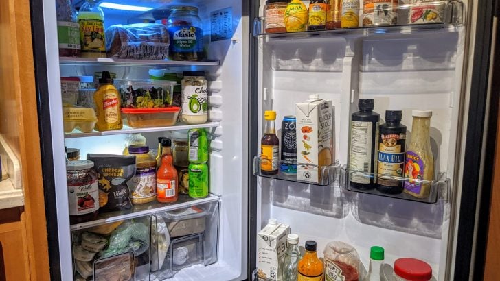 12 Volt RV Refrigerator: Fridge Fad or the Real Deal?