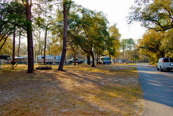 Salt Springs Campground in ocala national forest
