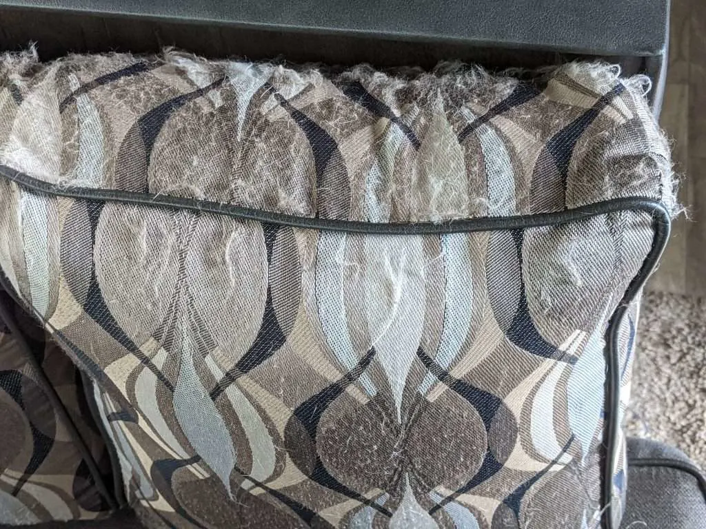 tattered camper cushions