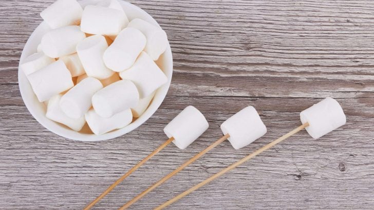 7 Best S’mores Sticks for Roasting Marshmallows