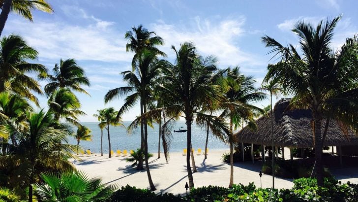 3 Best Islamorada RV Parks for Your Florida Keys Trip