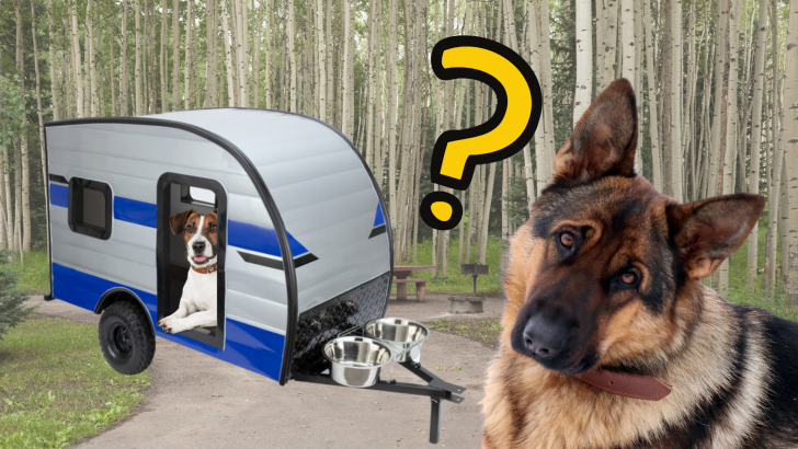 Dog Camper with Dog in it