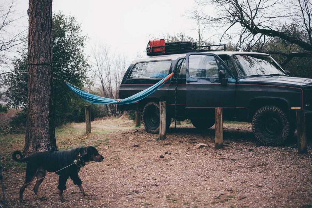 Overlander vehicle parked at campsite with hammock and dog.