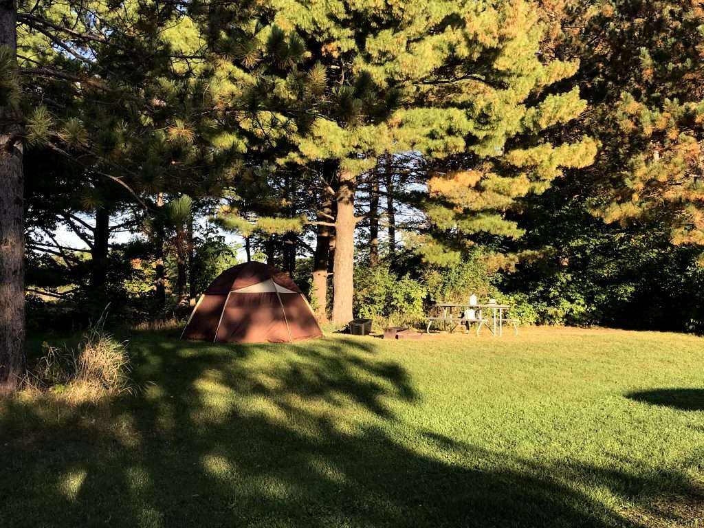 Tent set up for camping near trees near shawnee national forest