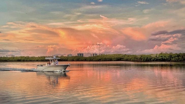 9 Best Naples Florida Boat Tours for Cruising the Coastline