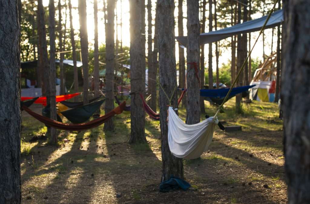 Multiple hammocks tied in trees for camping.