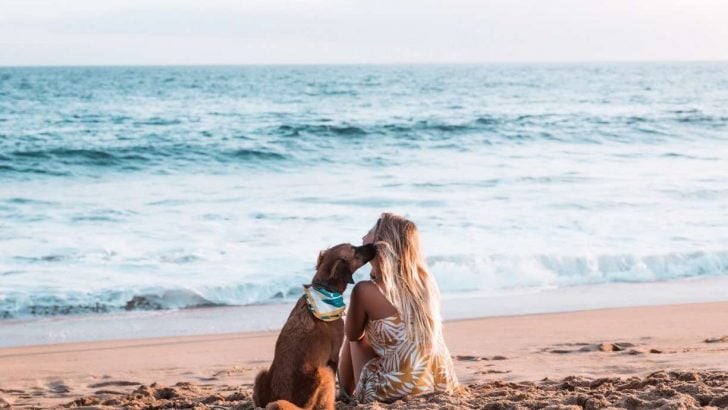 The 7 Most Dog-Friendly Beaches in Florida