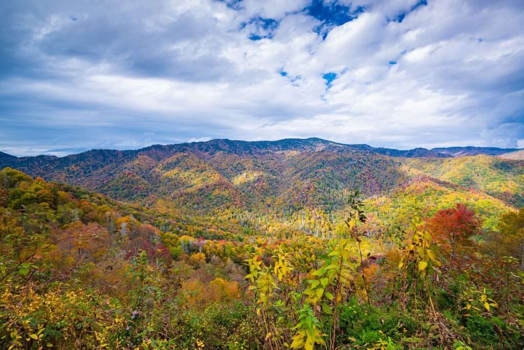 Smoky Mountains in the fall.