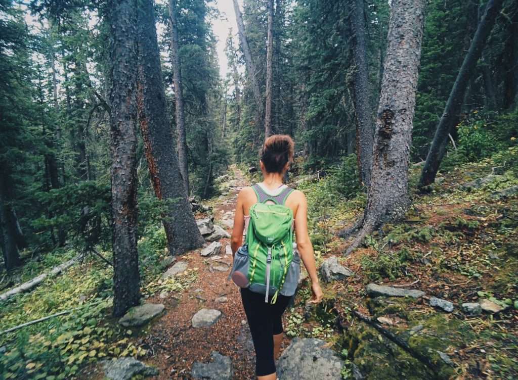 Woman hiking in forrest