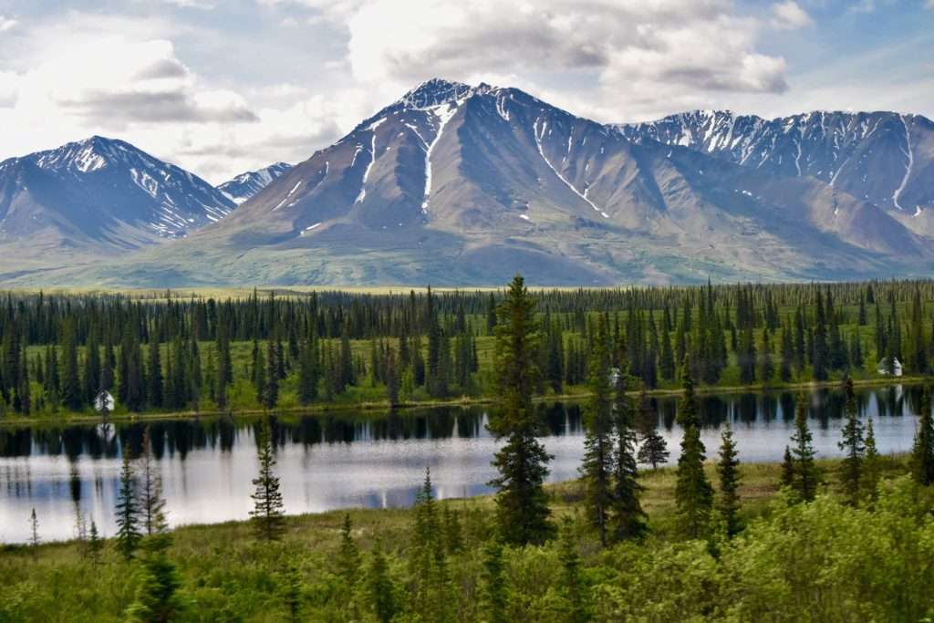 Alaskan landscape.