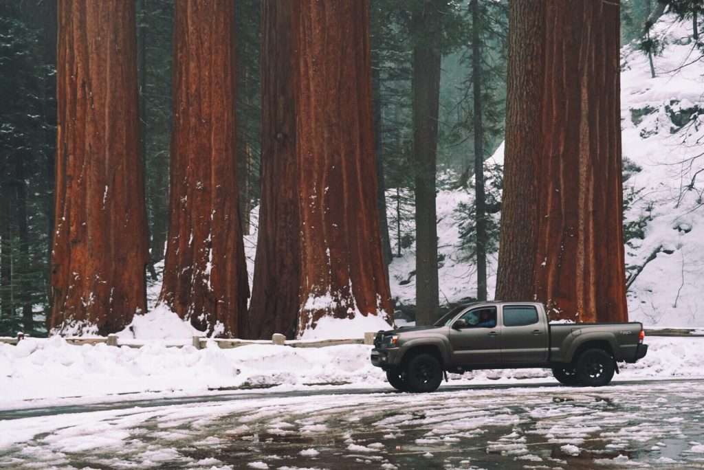 Toyota Tacoma driving in forest with snow.