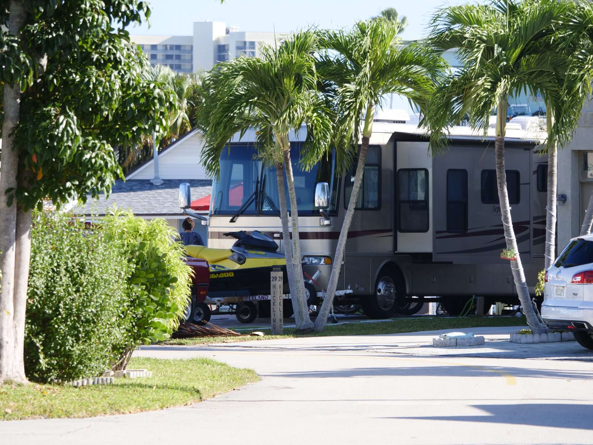 RVs parked by palm trees in Florida RV park