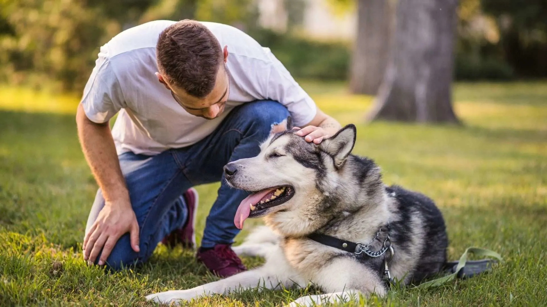 man petting a husky from the side