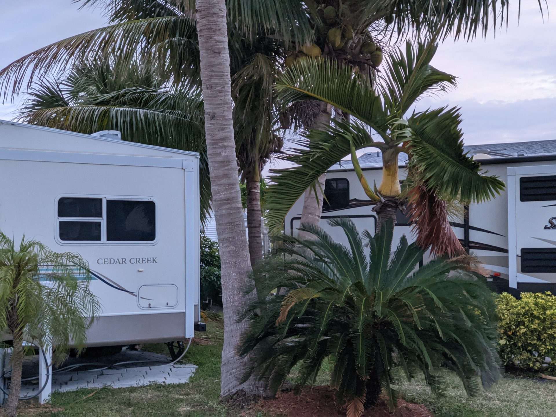 Florida RV Park with palm trees.
