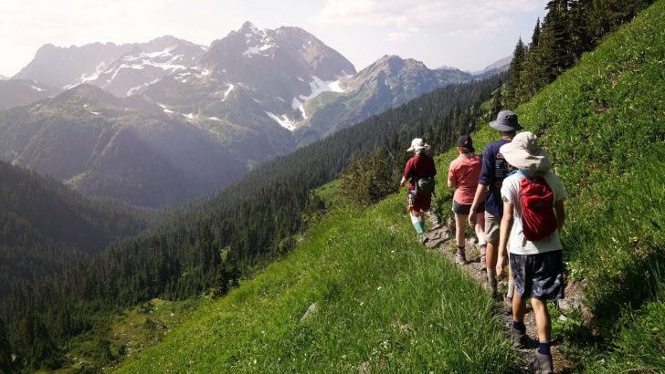 7 Easy Hikes in Washington for Enjoying the Pacific Northwest