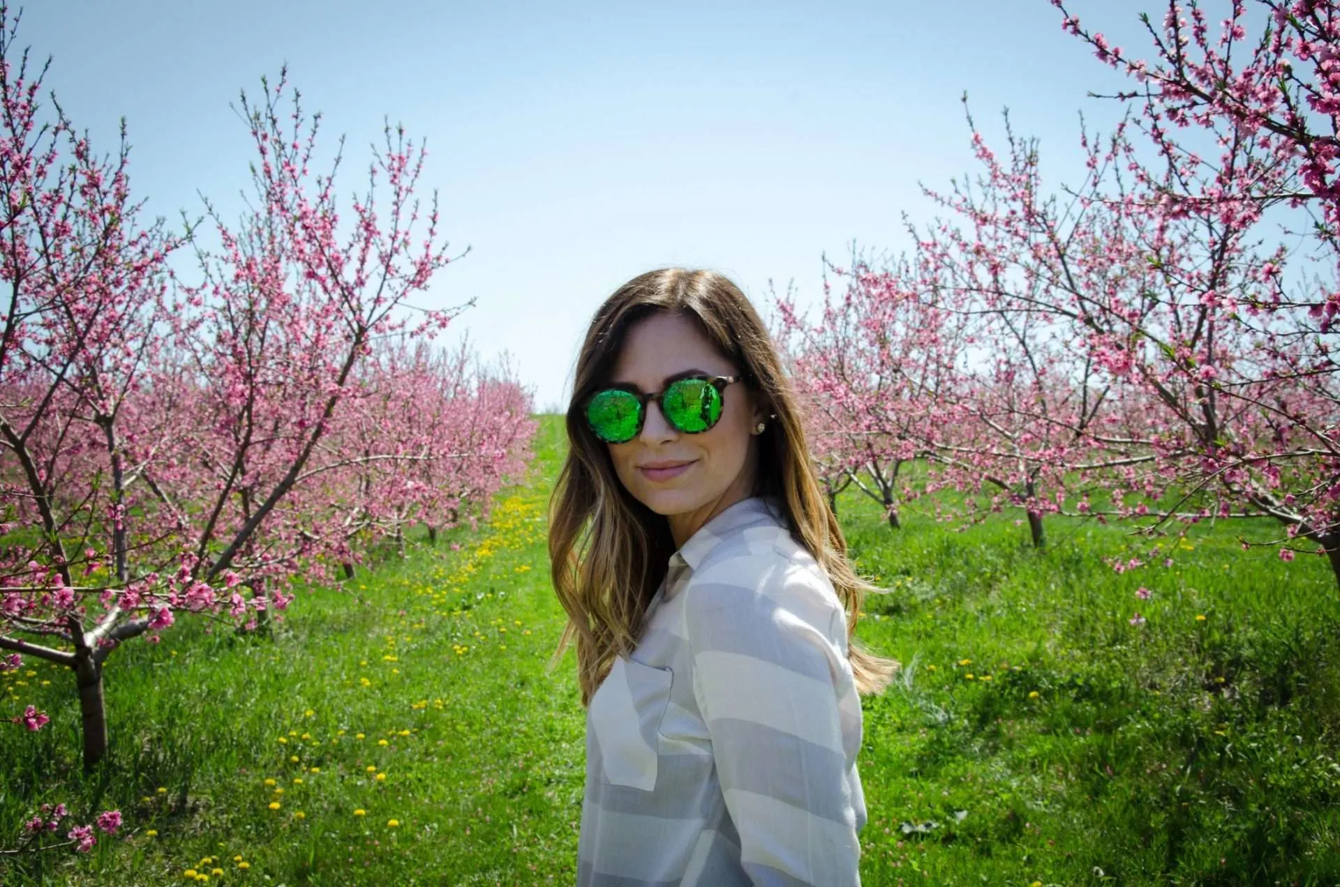 Woman walking through a row of Cherry trees in Traverse City