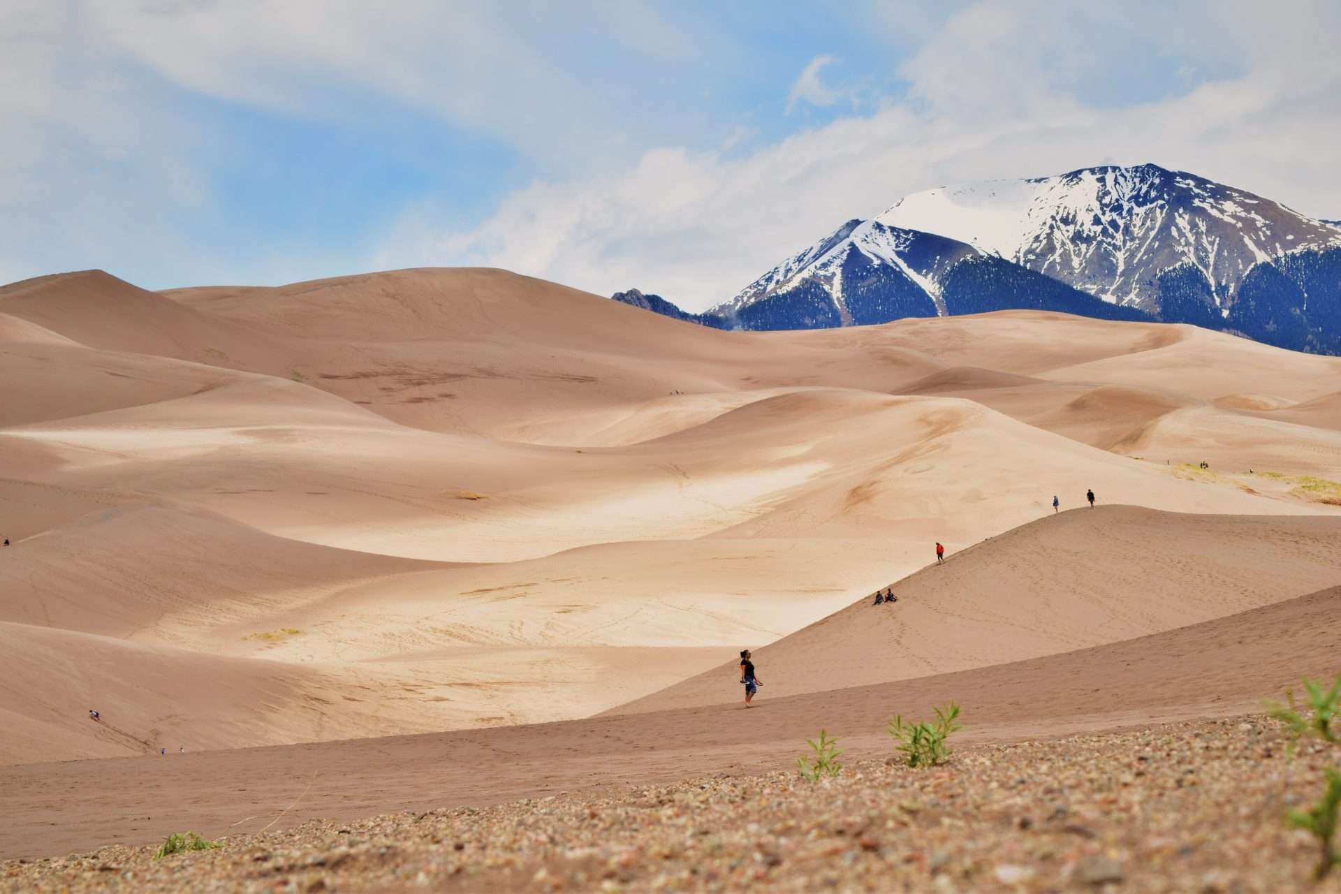 Sand dunes with snow mountain in the background.