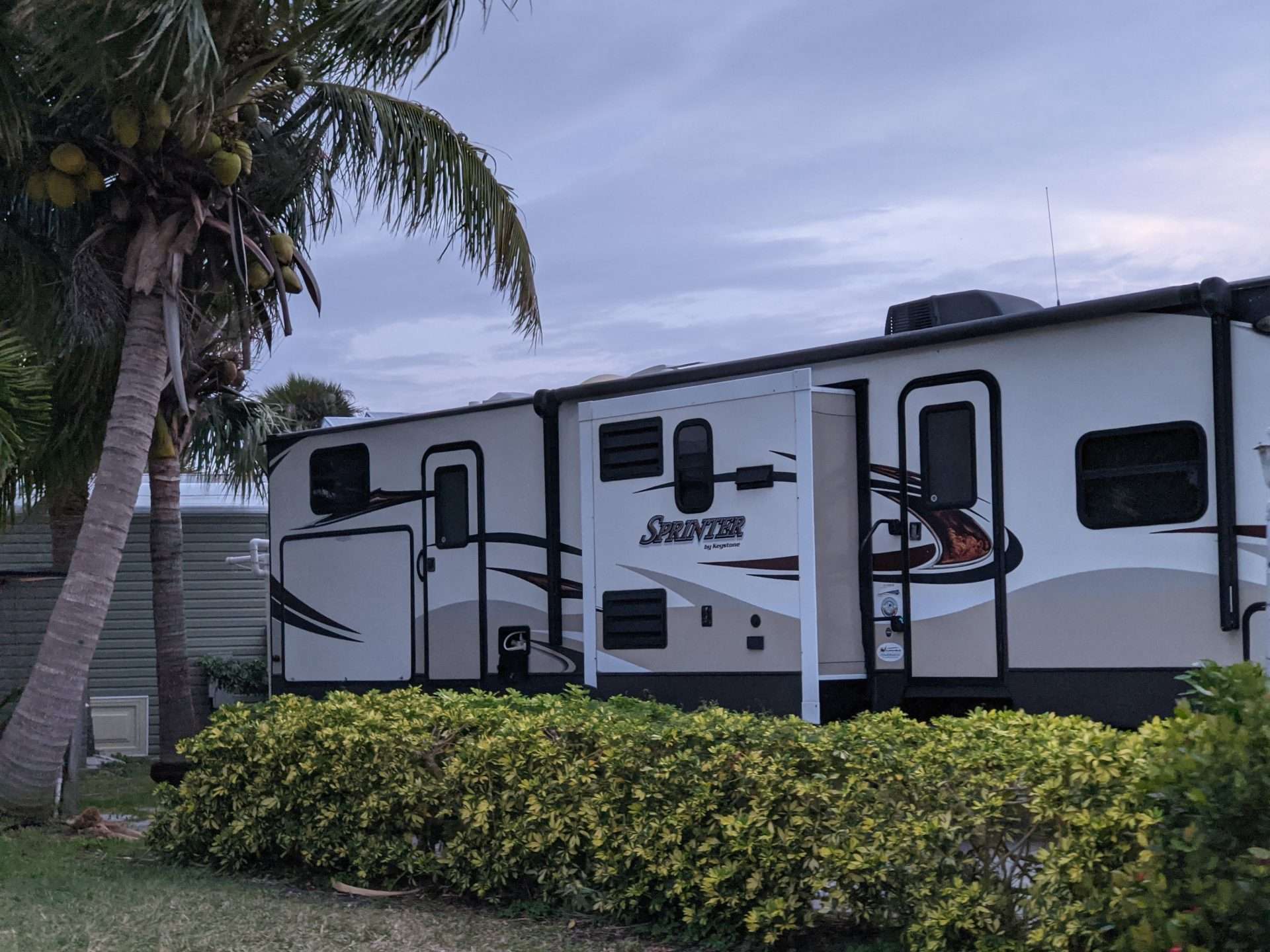 RV parked next to a palm tree in Florida.
