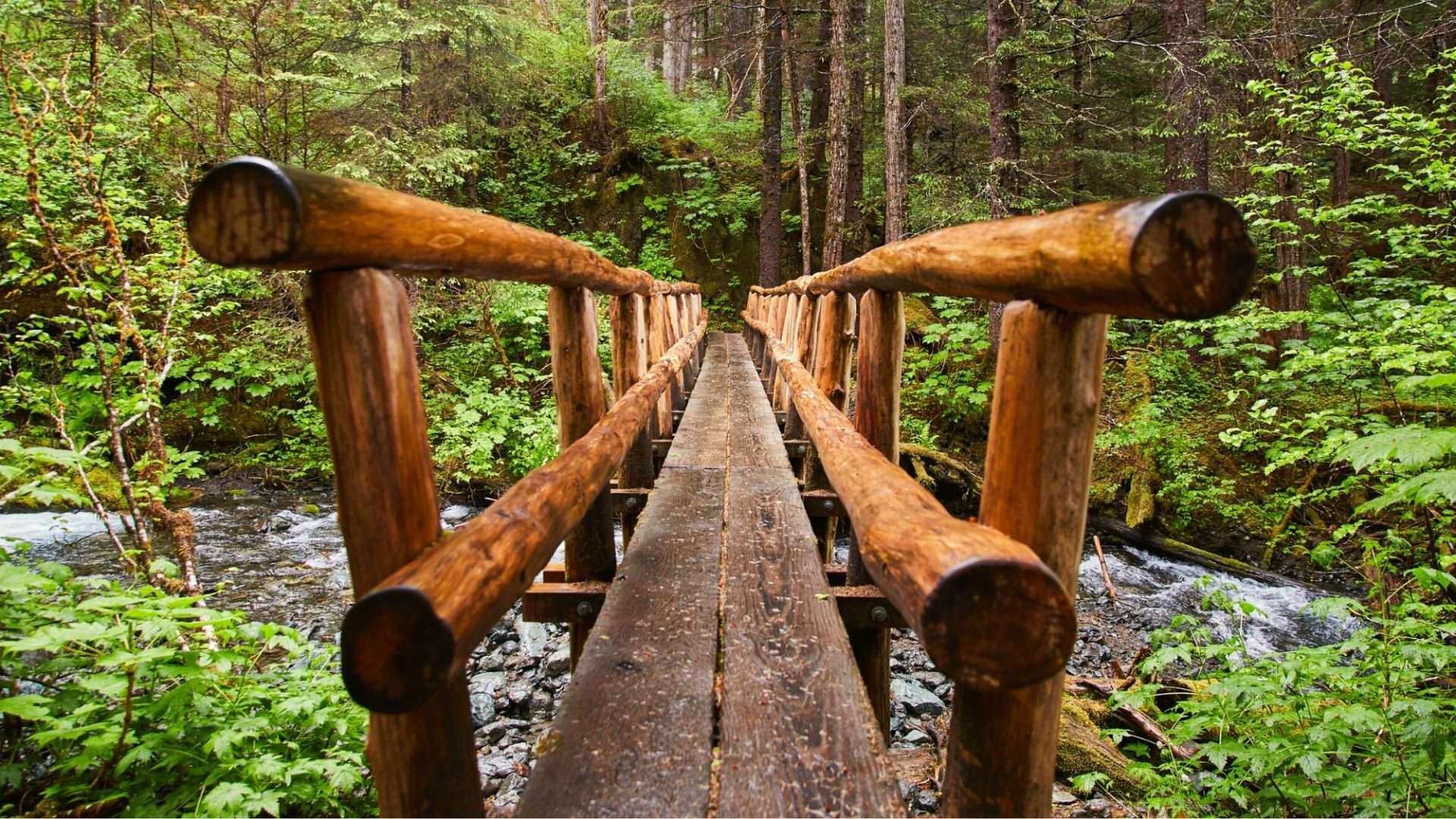 wood bridge over river in Sitka