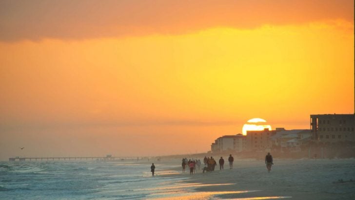 Alabama Has Beautiful White Sand Beaches: Here Are the 7 Best