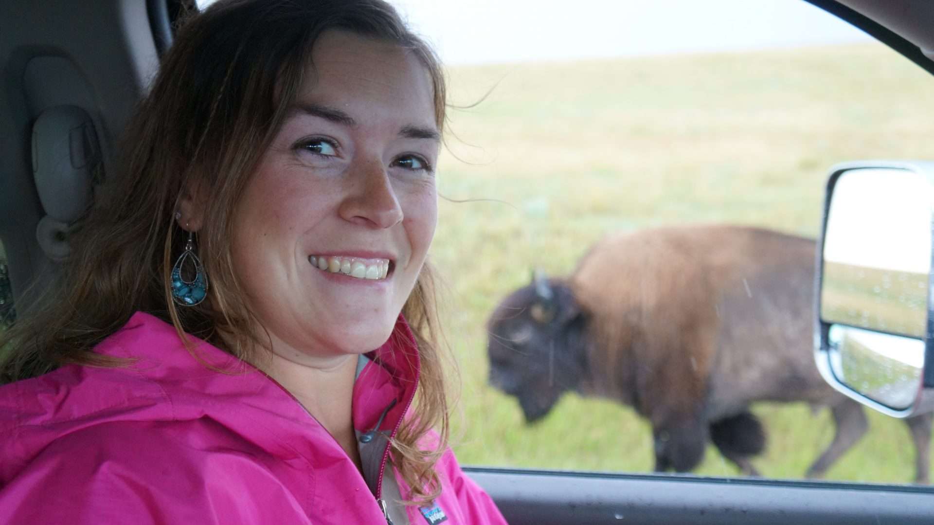 Cait from Mortons on the Move inside of car next to bison.