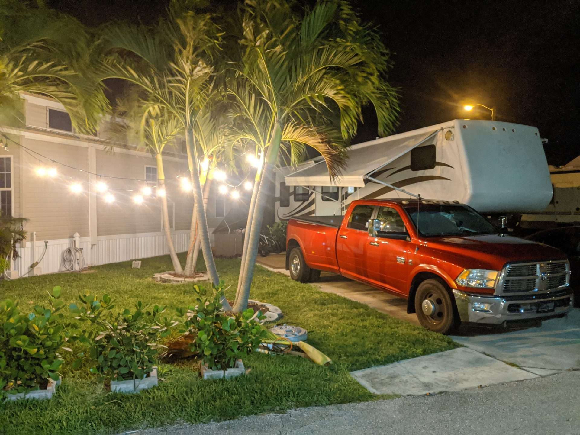 string lights hung on palm trees at RV lot