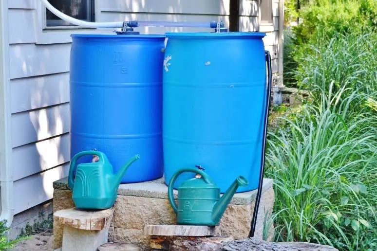 Rainwater collection system for gardening