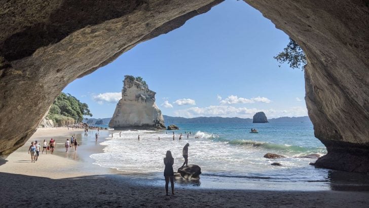 9 Unique Things to Do in New Zealand’s North Island