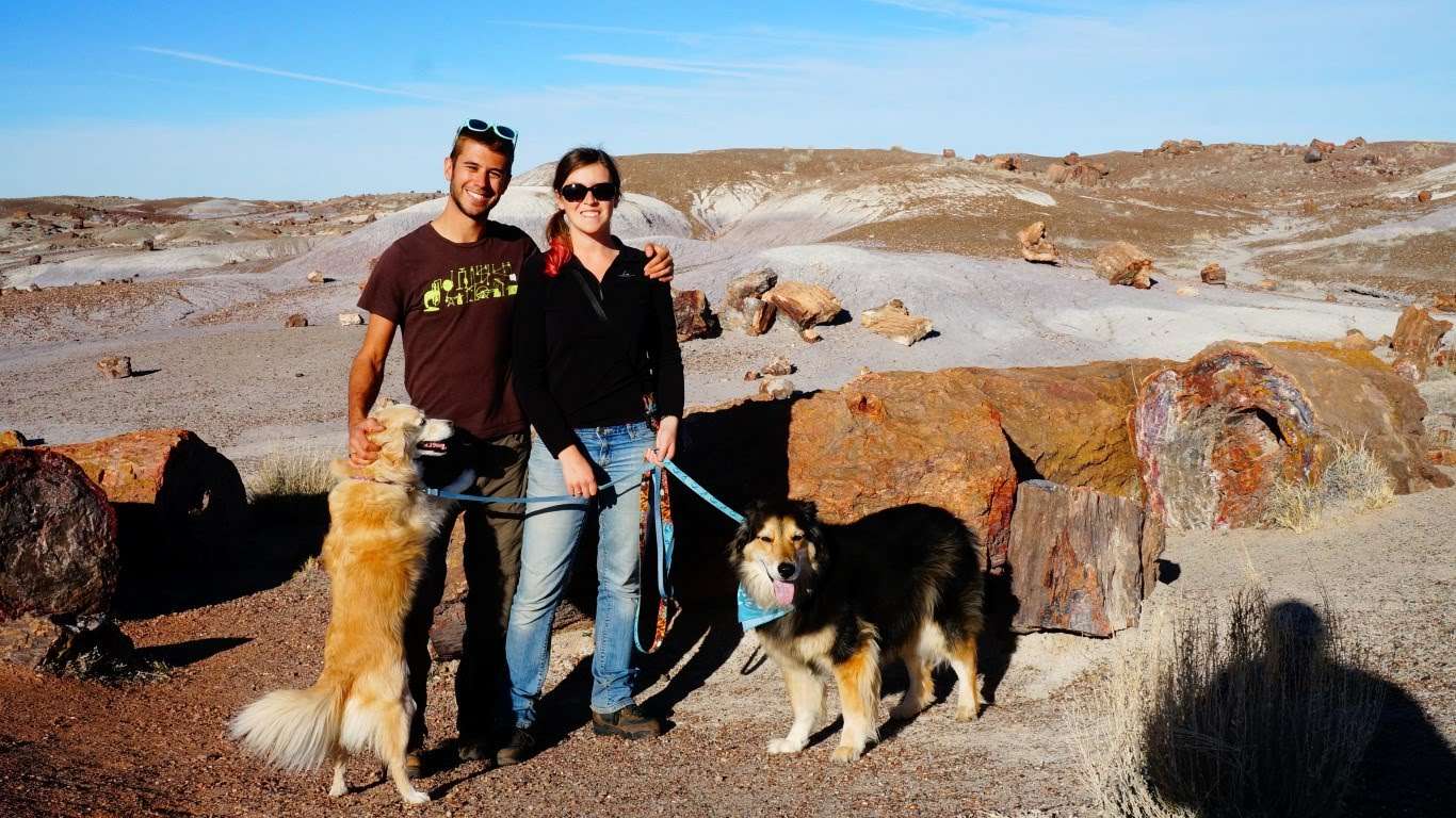 pet friendly petrified national forest