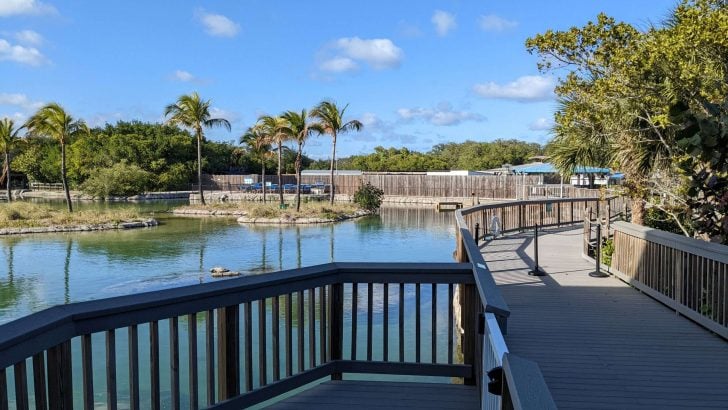 Help Save Florida’s Waterways By Visiting This Ocean Eco Center