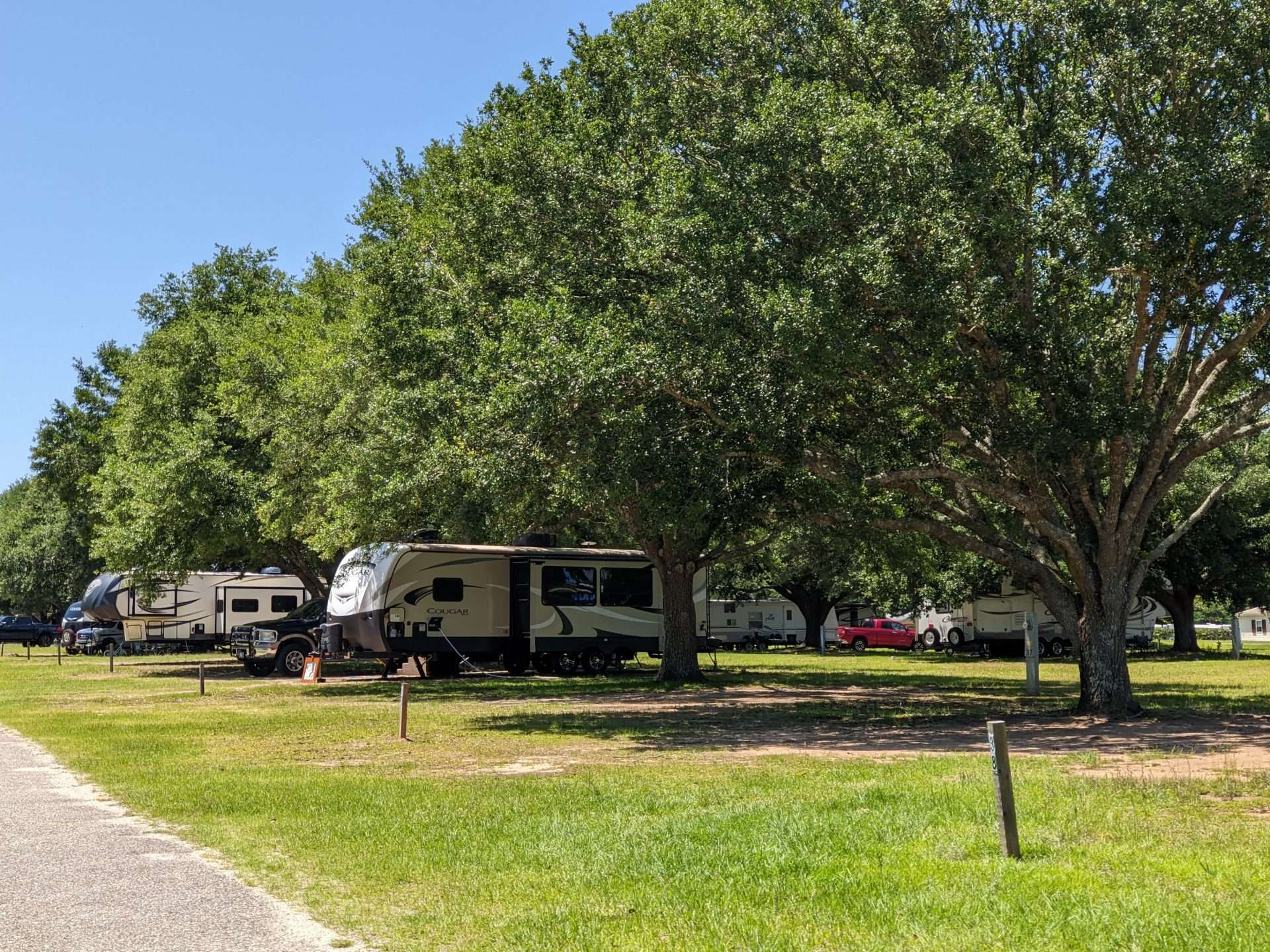 RVs parked amongst trees at campsites.