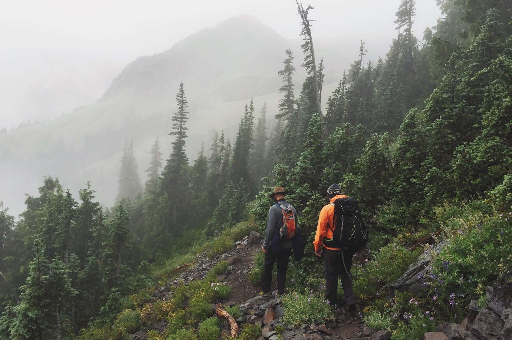 Two people hiking in foggy Mt. Rainier National Park.