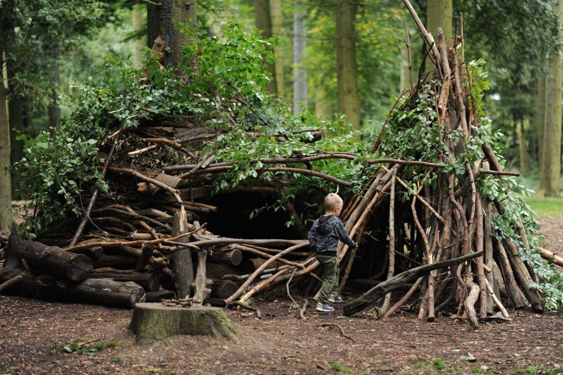 Little boy playing in man made shelter in forest