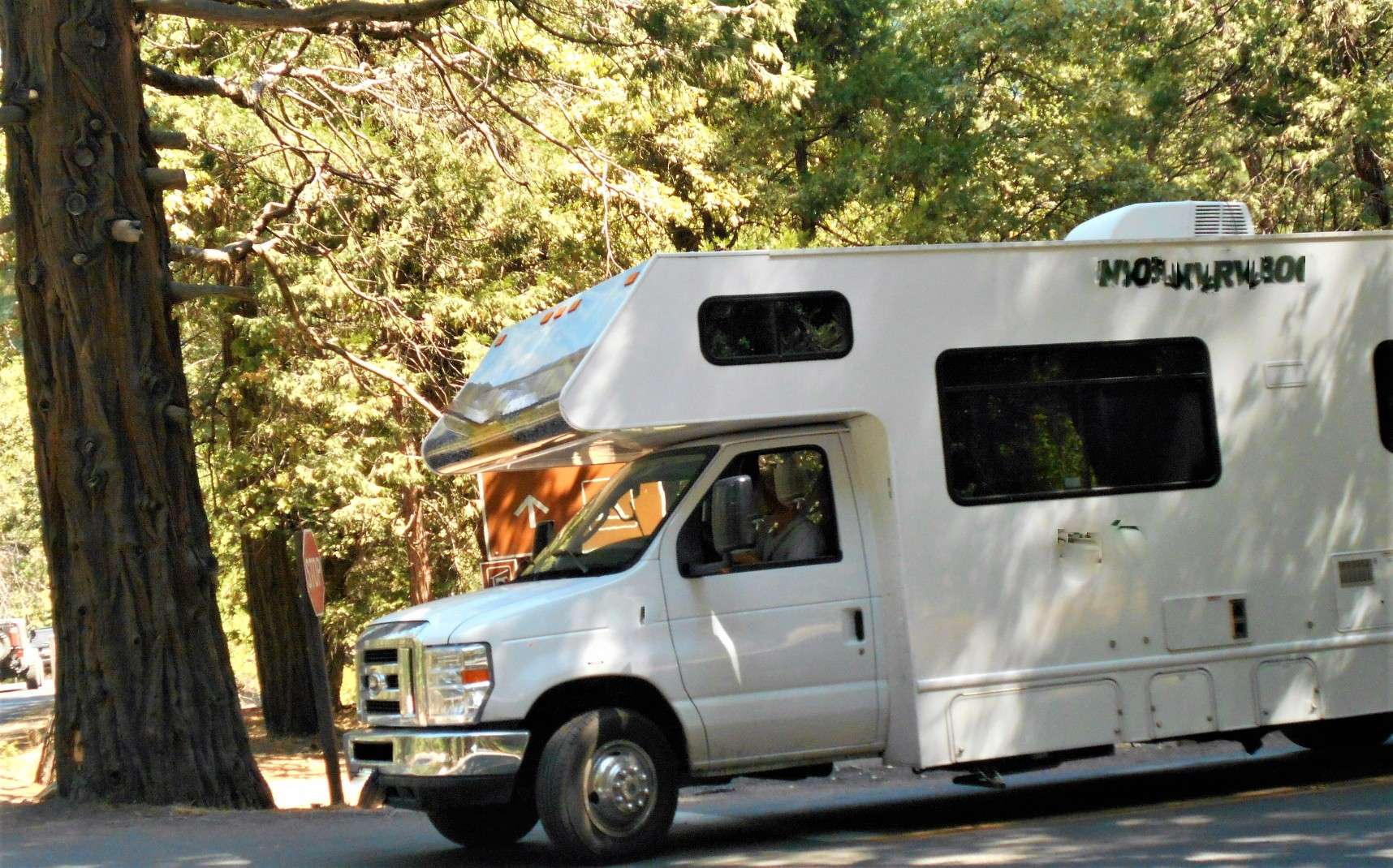 RV parked at campsite amongst trees