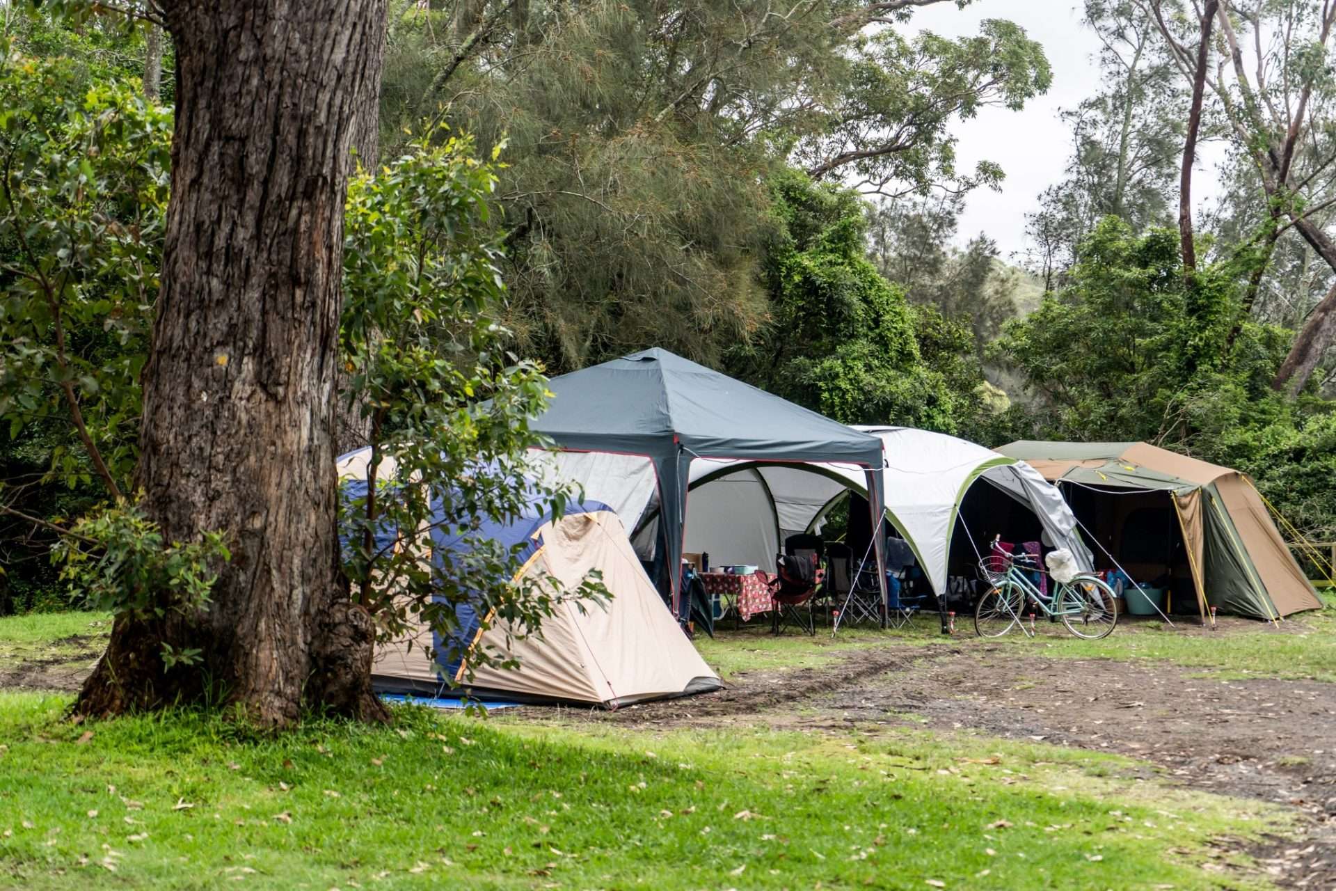 Four tents set up at campsite