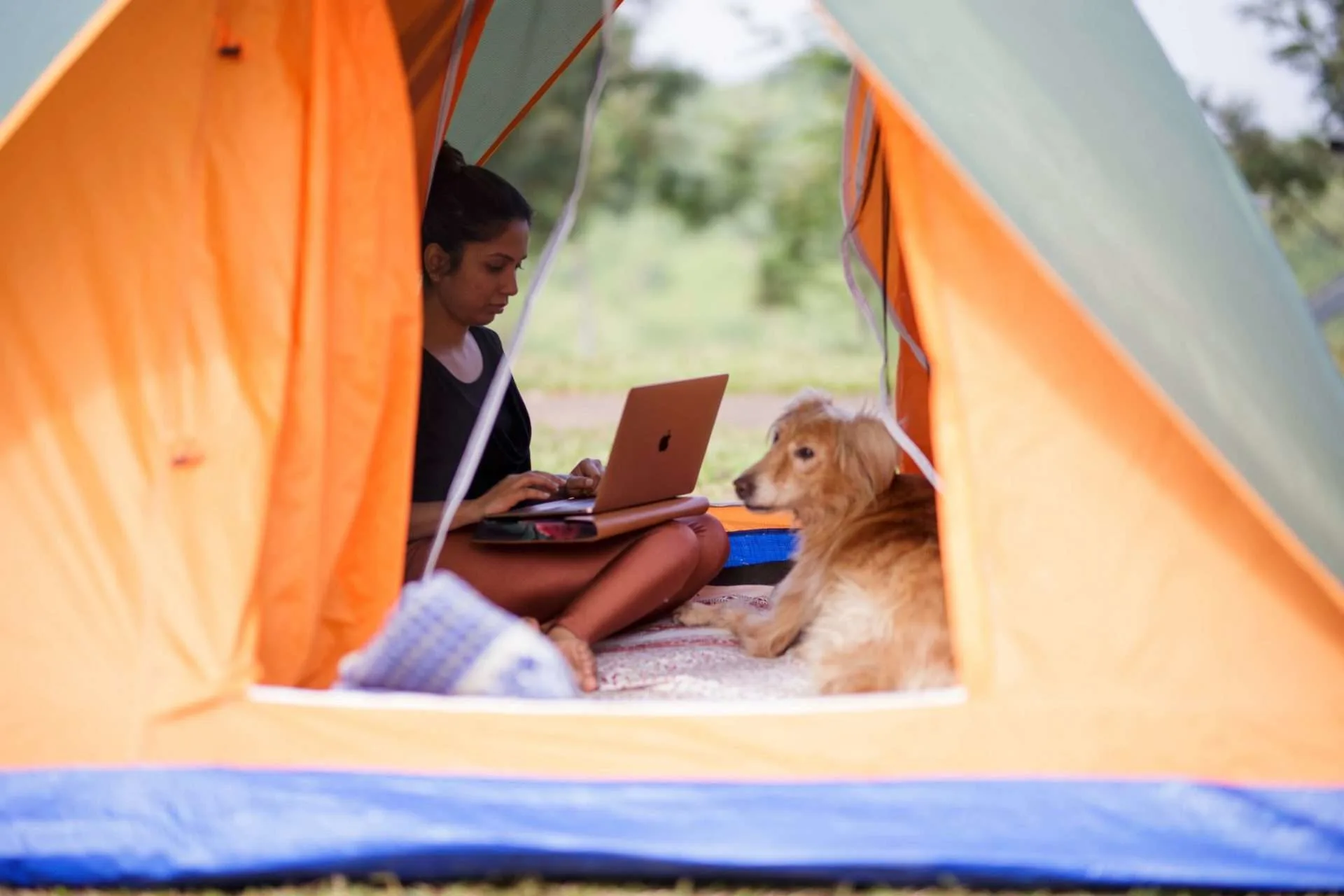 Woman and dog camping